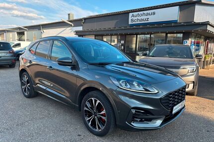 Ford Kuga Gebrauchtwagen
