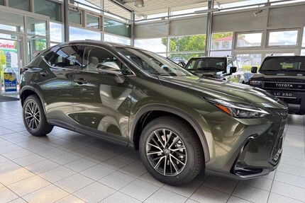 Lexus NX 450h Gebrauchtwagen