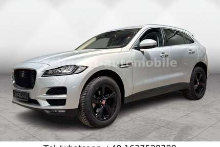 Jaguar F-Pace Gebrauchtwagen