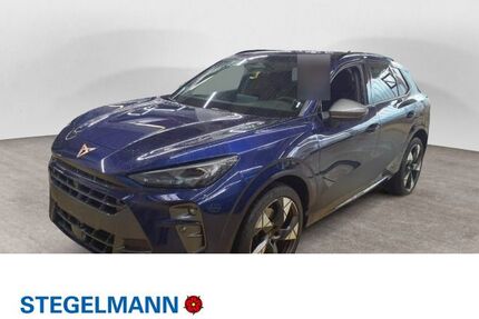 Cupra Terramar Gebrauchtwagen