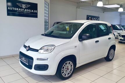 Fiat Panda Gebrauchtwagen
