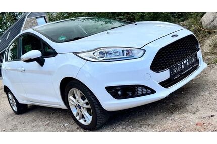 Ford Fiesta Gebrauchtwagen