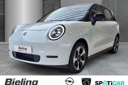 JAC Andere Gebrauchtwagen