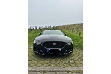Jaguar XE Gebrauchtwagen