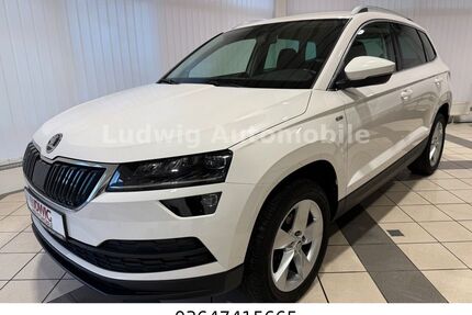Skoda Karoq Gebrauchtwagen