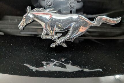 Ford Mustang Gebrauchtwagen