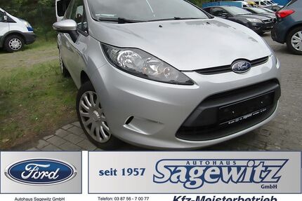 Ford Fiesta Gebrauchtwagen