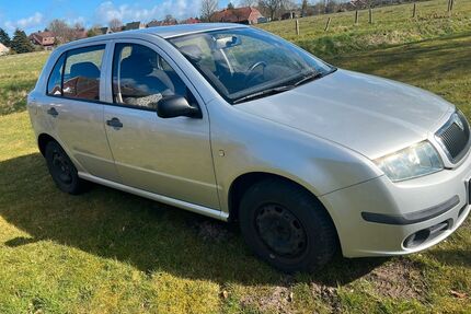 Skoda Fabia Gebrauchtwagen