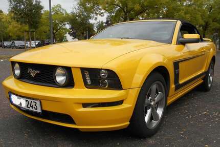 Ford Mustang Gebrauchtwagen