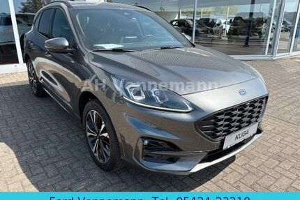 Ford Kuga Gebrauchtwagen