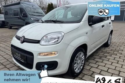 Fiat Panda Gebrauchtwagen