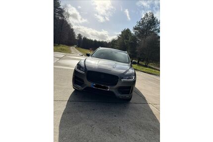 Jaguar F-Pace Gebrauchtwagen