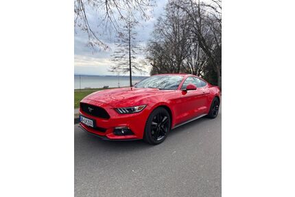 Ford Mustang Gebrauchtwagen