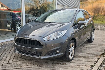 Ford Fiesta Gebrauchtwagen