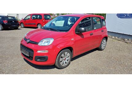 Fiat Panda Gebrauchtwagen