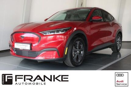 Ford Mustang Mach-E Gebrauchtwagen