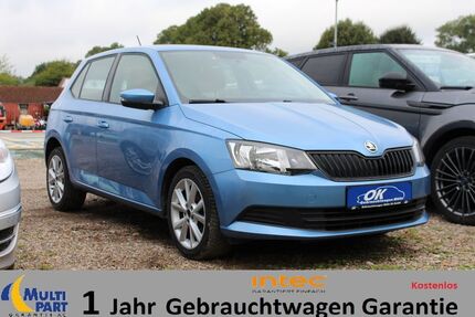 Skoda Fabia Gebrauchtwagen