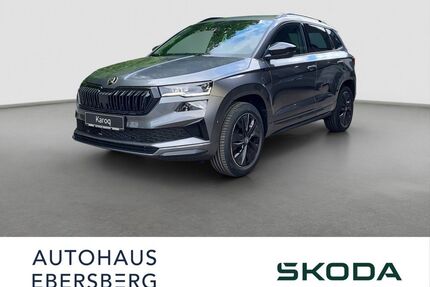 Skoda Karoq Gebrauchtwagen