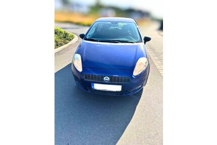Fiat Punto Gebrauchtwagen