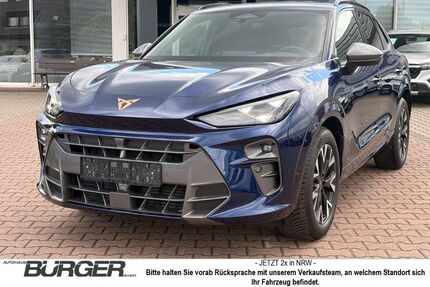 Cupra Terramar Gebrauchtwagen