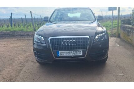 Audi Q5 Gebrauchtwagen
