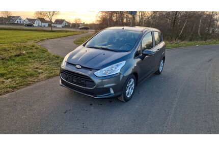 Ford B-Max Gebrauchtwagen