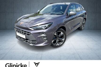 Cupra Terramar Gebrauchtwagen