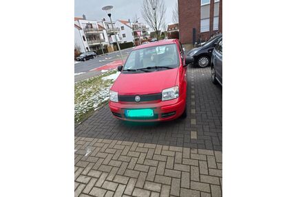 Fiat Panda Gebrauchtwagen