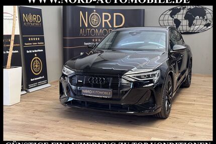 Audi e-tron Gebrauchtwagen