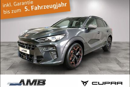 Cupra Terramar Gebrauchtwagen