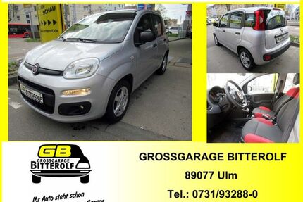 Fiat Panda Gebrauchtwagen