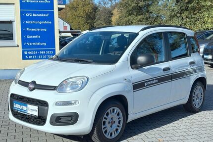 Fiat Panda Gebrauchtwagen