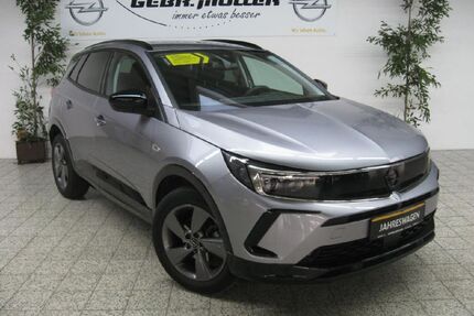 Opel Grandland (X) Gebrauchtwagen