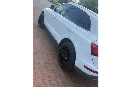 Audi Q5 Gebrauchtwagen