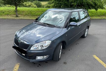 Skoda Fabia Gebrauchtwagen