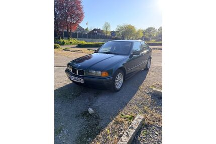 BMW 316 Gebrauchtwagen