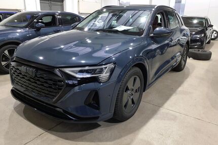 Audi Q8 e-tron Gebrauchtwagen