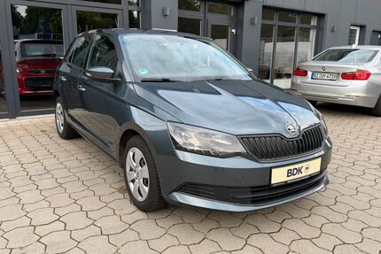 Skoda Fabia Gebrauchtwagen