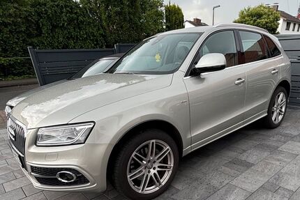 Audi Q5 Gebrauchtwagen