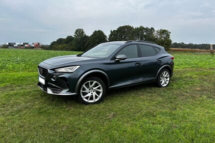 Cupra Formentor Gebrauchtwagen
