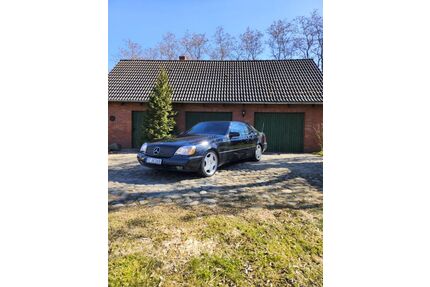 Mercedes-Benz 600 Gebrauchtwagen