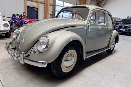 VW Käfer Gebrauchtwagen