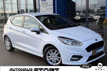Ford Fiesta Gebrauchtwagen