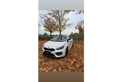 Kia ceed / Ceed Gebrauchtwagen