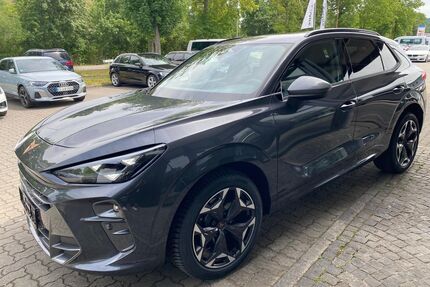 Cupra Terramar Gebrauchtwagen
