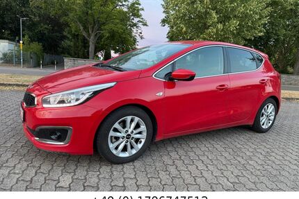 Kia ceed / Ceed Gebrauchtwagen