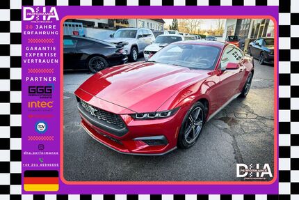 Ford Mustang Gebrauchtwagen