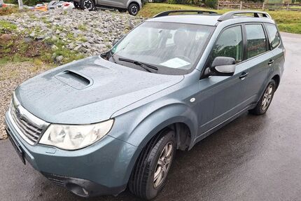 Subaru Forester Gebrauchtwagen