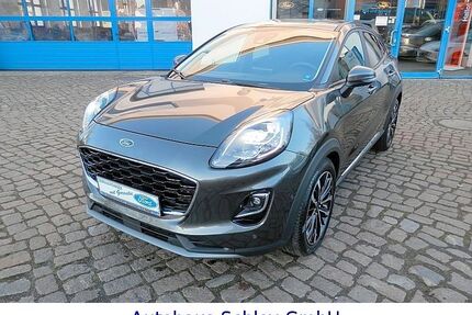 Ford Puma Gebrauchtwagen