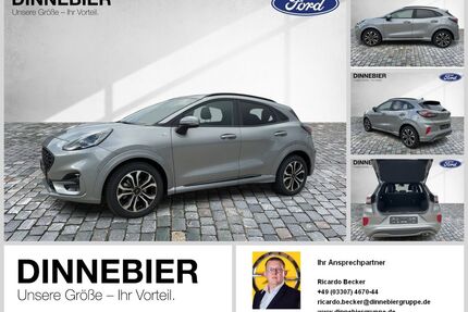 Ford Puma Gebrauchtwagen